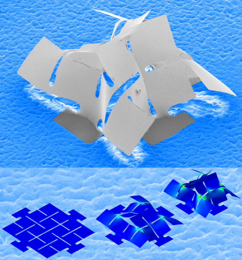 图为 三维曲面状单晶硅结构组装成型过程的模拟结果及实验结果 (cred it-清华大学和美国伊利诺伊大??